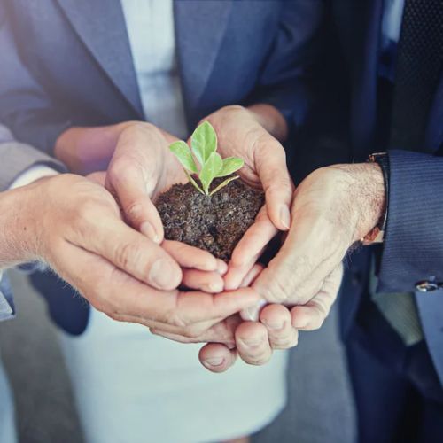 practicing sustainability