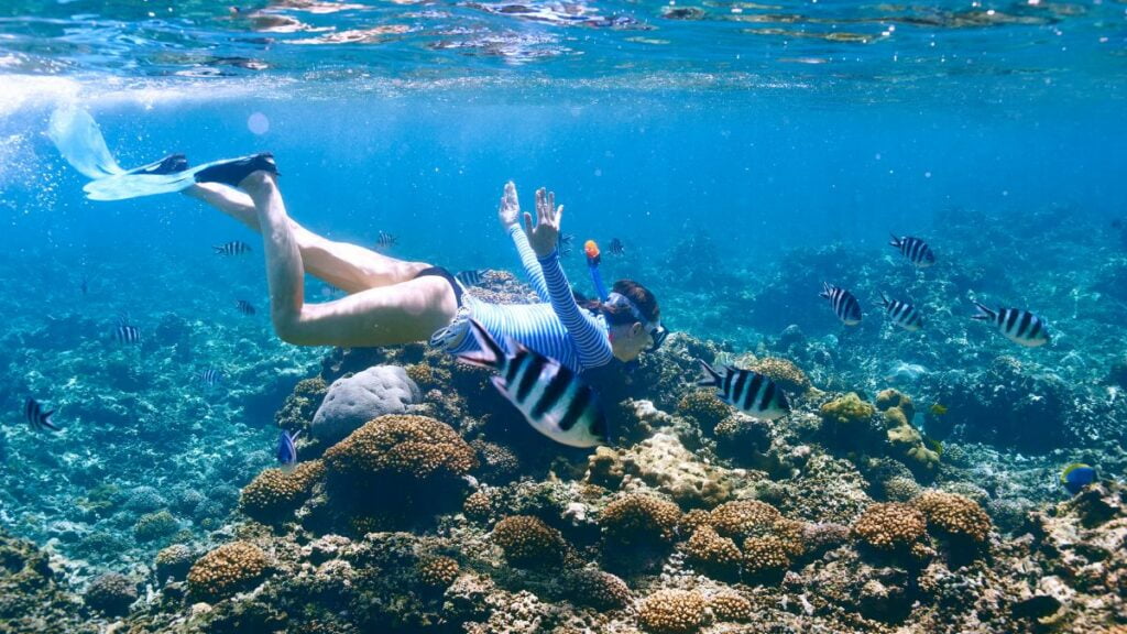 snorkeling ilig-iligan beach