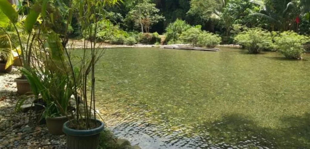 Nabaoy River