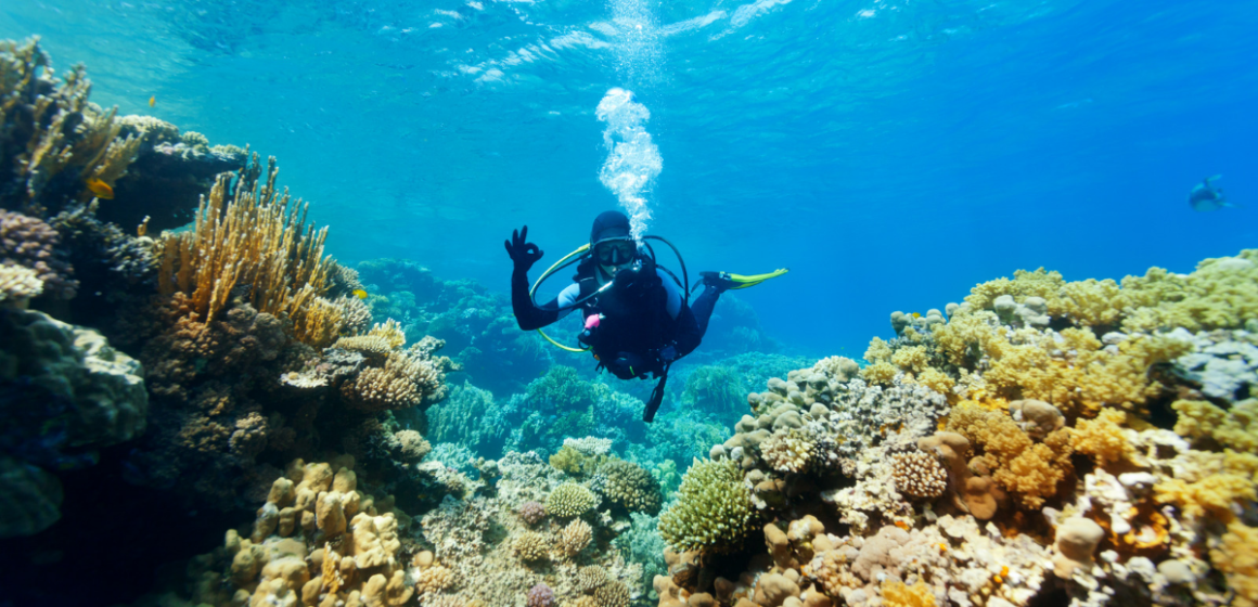 Philippines Clinches Top Awards at Dive Show Beijing 2024