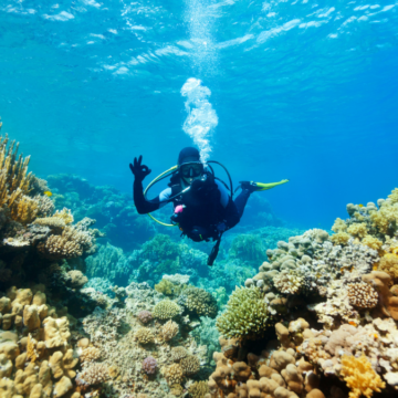 Philippines Clinches Top Awards at Dive Show Beijing 2024