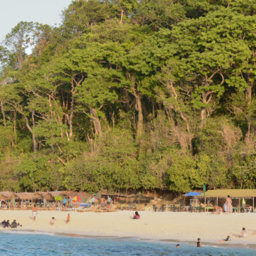 DENR aims to increase forest cover by 3M hectares by 2028