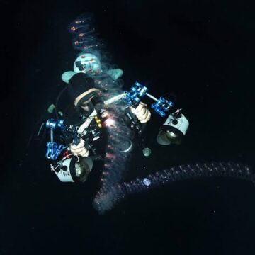 Philippines to Light Up Tourism with “Bonfire Diving”